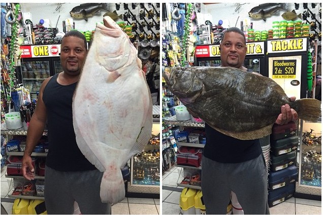 Fluke fishing is picking up. This 8.8-pounder was weighed in at One Stop Bait and Tackle.