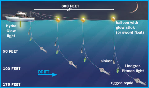 Swordfish Rigged Baits