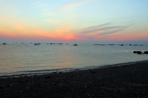 Massachusetts Commercial Striper Fleet