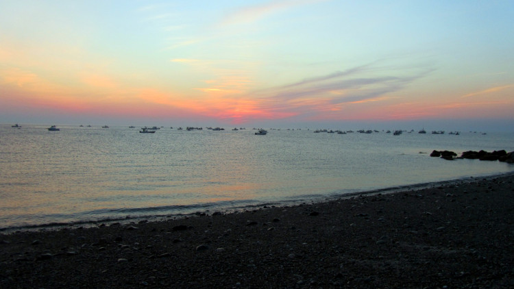 Massachusetts Commercial Striper Fleet