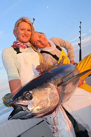 Oceanographer Canyon Yellowfin