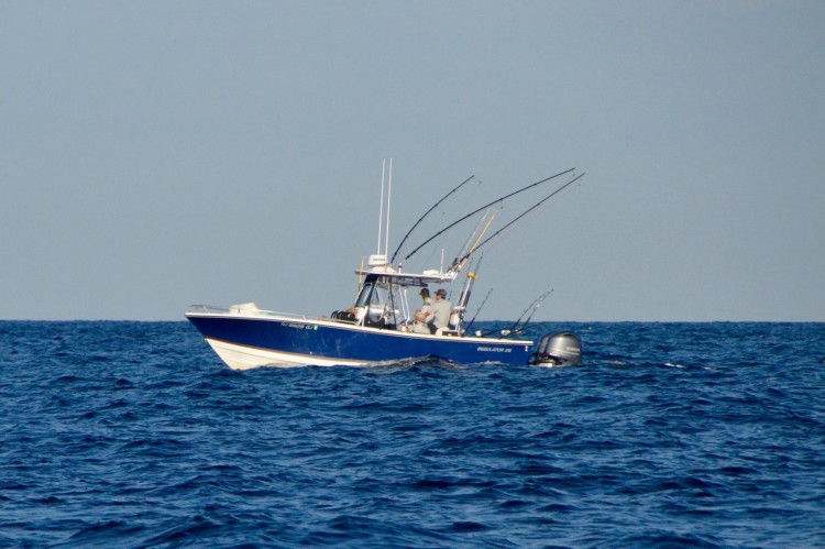 Sean Furman Regulator