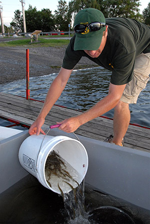 Hackettstown State Fish Hatchery