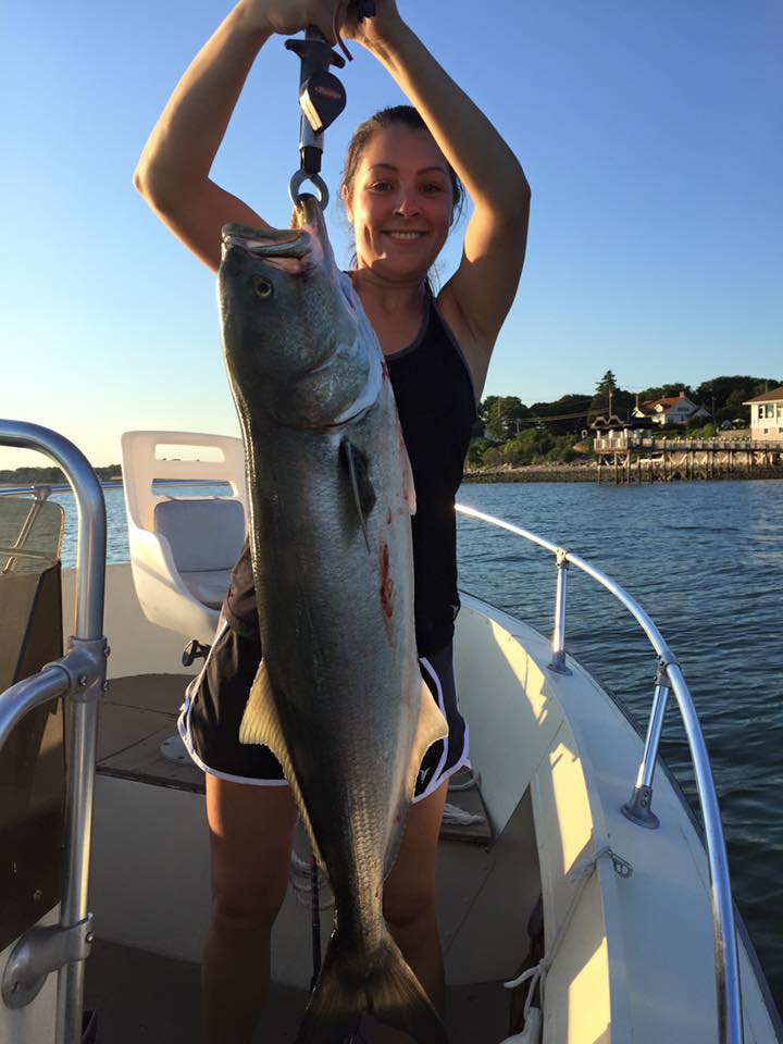 CT Bluefish