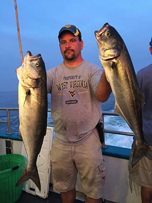Solid bluefish aboard the Middlebank II