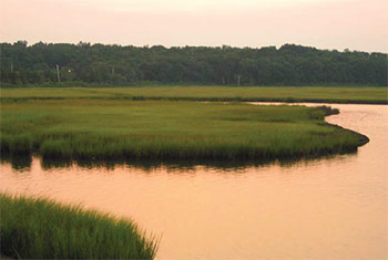 crabbers are likely to score in shallow, calm waters