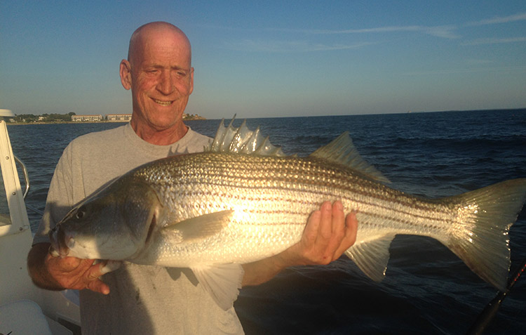 Joe Holey Sr. with a fat Lynn striper.