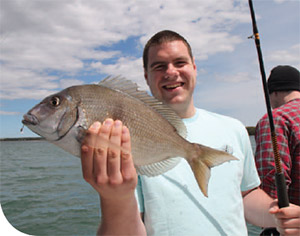 You can find plenty of porgies where there is bottom structure such as reefs.