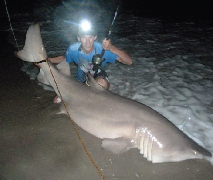 AJ Rotondella caught this massive sand tiger in late June 2015