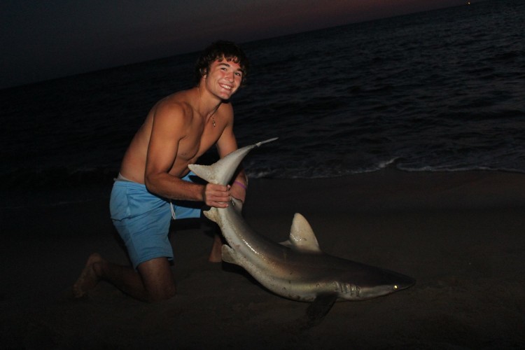 brown shark fishing