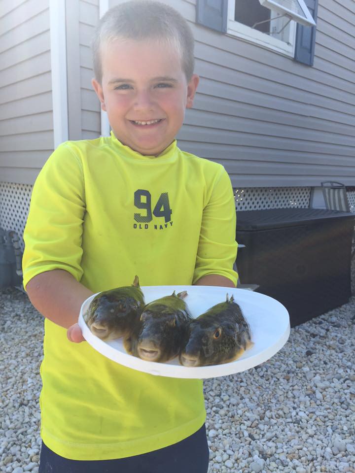 Blowfish action in Barnegat Bay has been improving according to a report from Betty and Nicks.