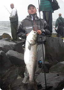Chris Buchta with a Jersey cow.