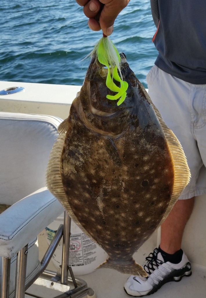 Otter Tail Fluke