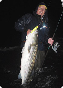 Steve McKenna tosses big plugs to take big bass from Rhode Island waters through November.