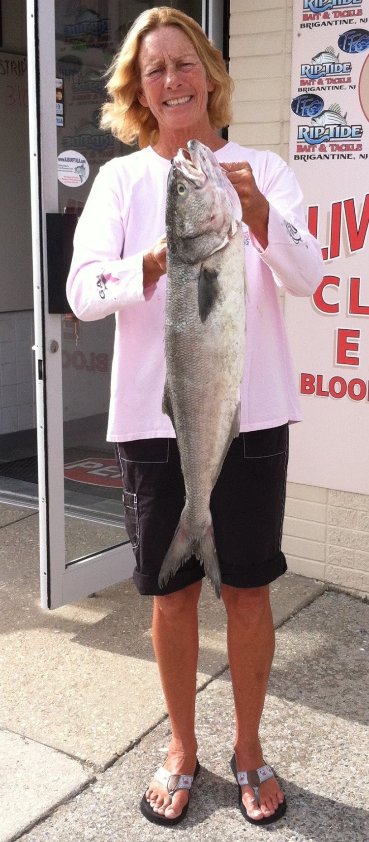 Northeast winds blew in some big bluefish this week like this 9-pounder weighed at Riptide Bait and Tackle. 