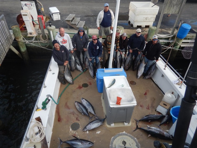 The Super Chic has been getting in on the hot tuna bite in the canyons. 