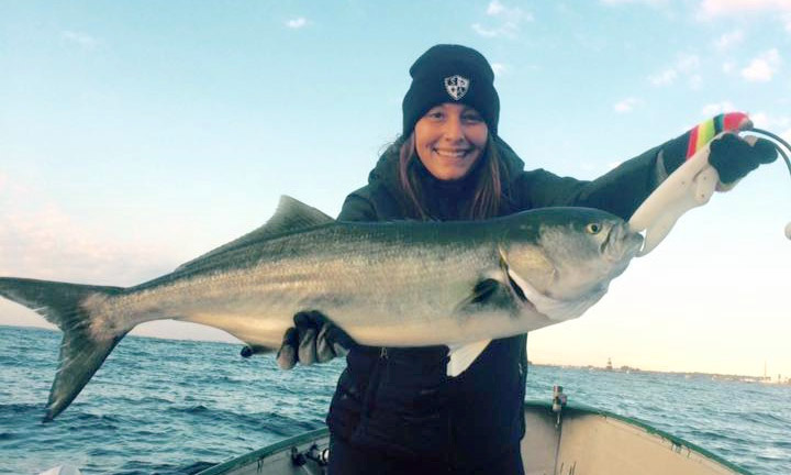 Lauren Salvoli caught this 19.8-pound bluefish on a Gibbs topwater lure fishing the Norwalk islands in Connecticut.