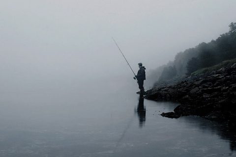 Ghost Stories of The Surf