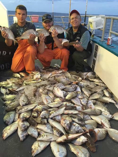 There are plenty of quality scup around, and the Middlebank II is keeping clients happy.