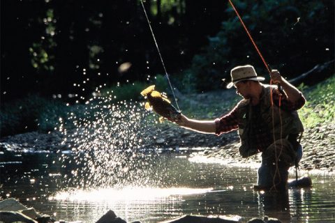 Smallies offer one of the most exciting struggles in freshwater.