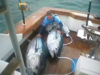 For a minimal investment Cape Cod Bay can reward a lucky captain with a huge return.