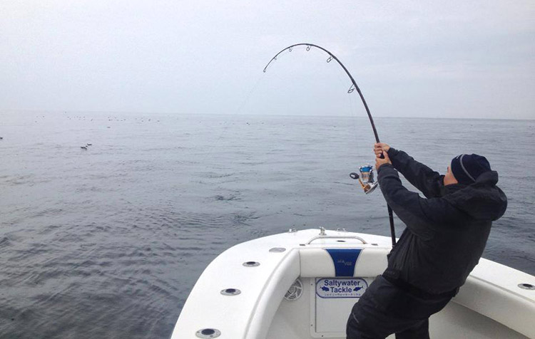 The fight was nasty and definitely needed team work