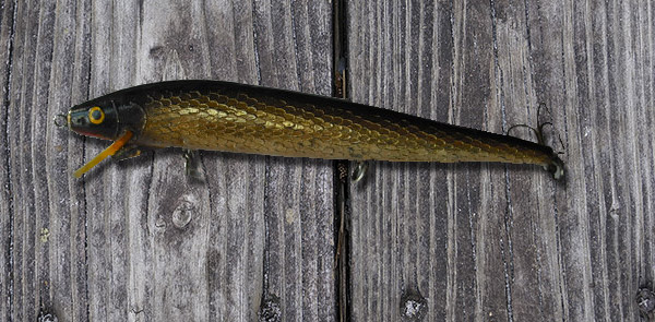 The 7-inch Hellcat swimmer is a flat-out striper killer!