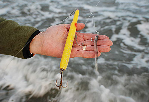When the sand eels are in, never hit the beach without needlefish in your plug bag.