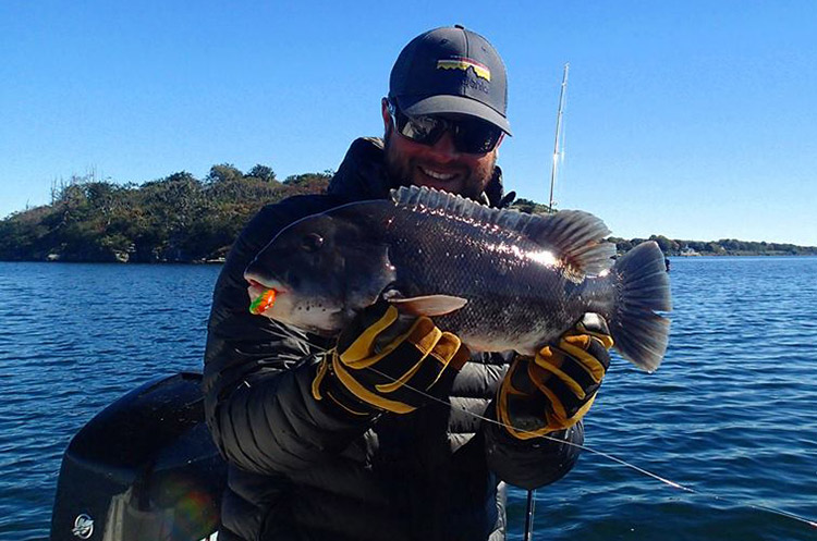 A nice Newport tautog caught on the jig.