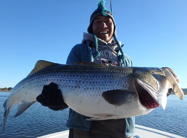A monster topwater bass from Reel Cast Charters