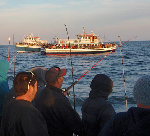 Offshore winds push bass and sand eels off the beach, where boats can hook up by vertical jigging.