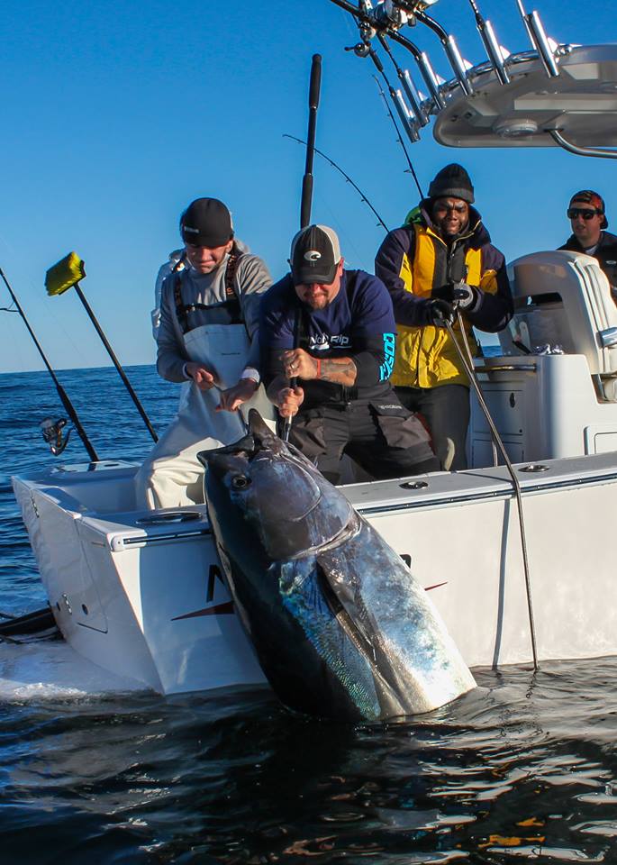 Cape Cod Bluefin Tuna