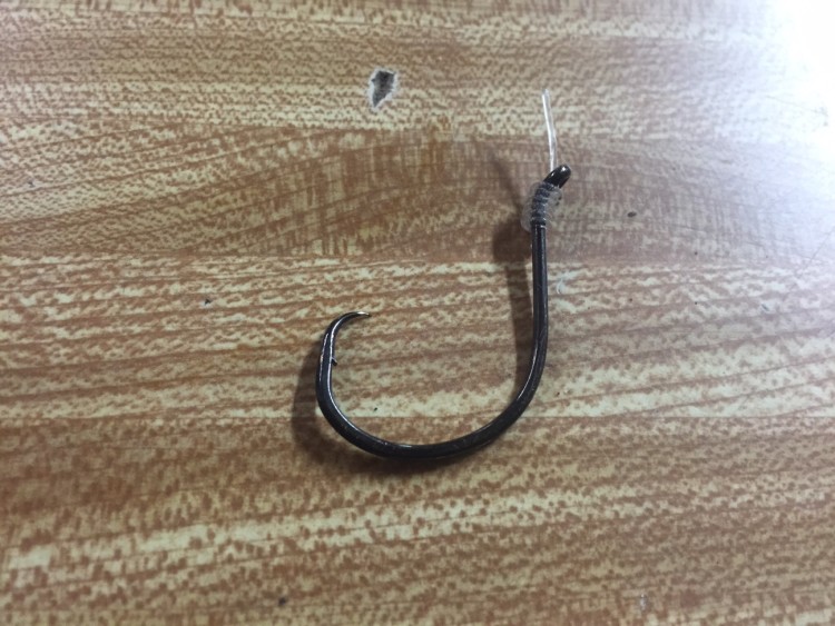 The 6/0 Gamakatsu Octopus Circle Hook that held up to the vicious battle with a bigeye. 