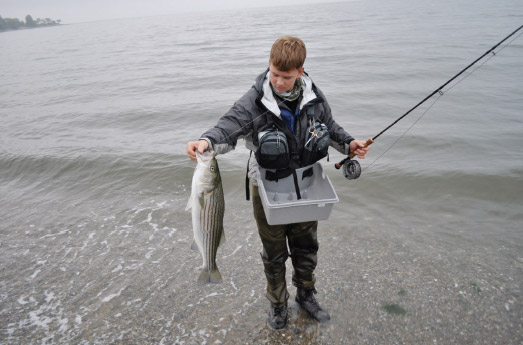 concentrate on areas that are holding bait.