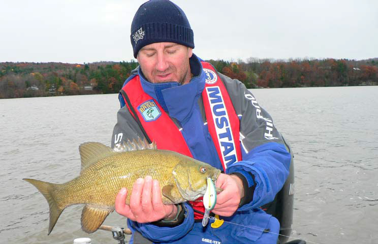When water temperatures cool and the weeds start breaking up in the fall, big smallmouth can be found roaming shallow water and will fall prey to wide-wobbling crankbaits worked slowly through the vegetation.