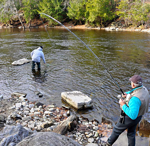 Long &ldquo;noodle rods&rdquo; are useful for keeping line off the water 