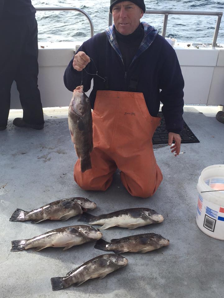 The Carolyn Ann was on the tog bite big time before the swell shut things down.