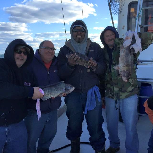Fishermen aboard the Mimi IV are catching some 4- to 6-pound tog mixed in with teh shorts.