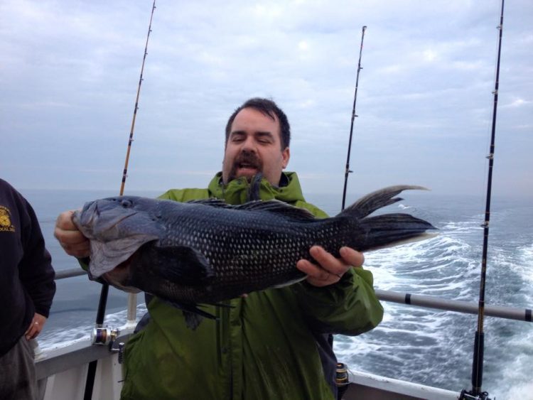 This 8-pound black sea bass was caught aboard the Brooklyn VI on Saturday while fishing in 175 feet of water. 