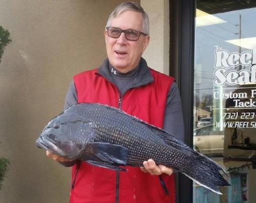 Steve Singler Black Sea Bass NJ Record