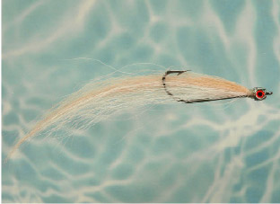 Jiggy tied by Bob Popovics