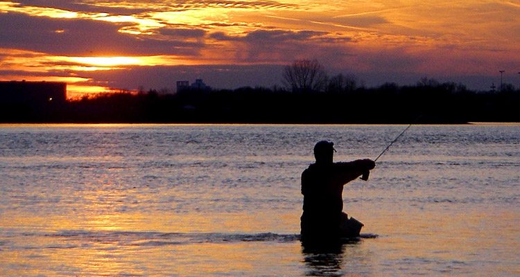 Housatonic River Winter Stripers And Salmon