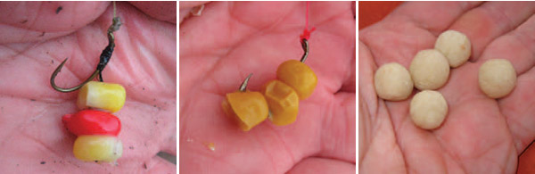 carp baits