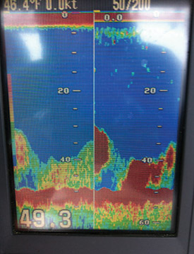 Dense schools of adult menhaden kept big stripers in South Jersey past Thanksgiving last fall.