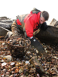 a powerful storm provided this jackpot of tasty bay scallops