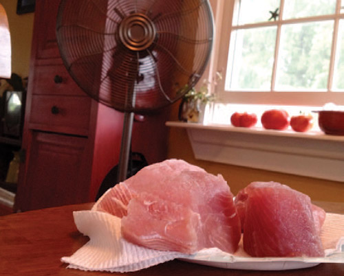 drying-tuna