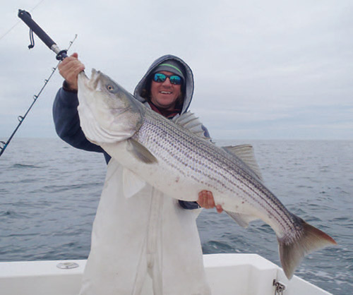 Mojos imitate large baitfish