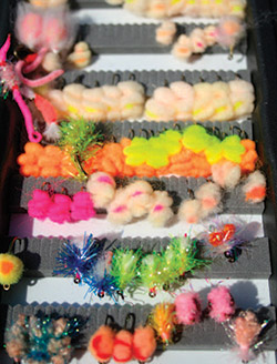 Salmon eggs are a favorite food of Salmon River steelhead, and egg-imitating flies in a variety of colors are a staple among fishermen.