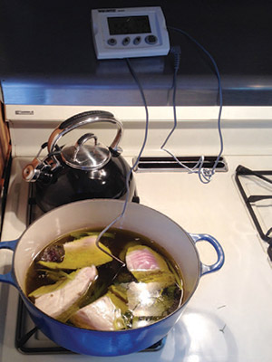 tuna-thermometer