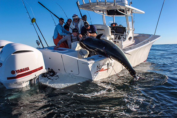 On a sea trial in the fall of 2015, Captain Jack Sprengel and his crew landed a 92-inch bluefin tuna.